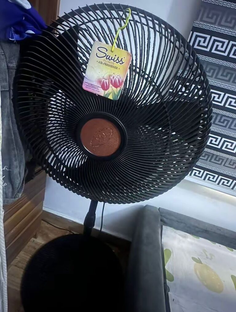 IMG 20260315 WA0114 768x1013