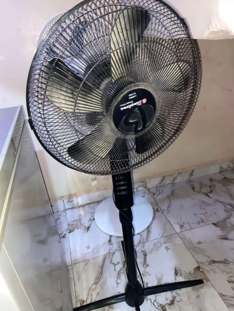 IMG 20260315 WA0115 768x1018