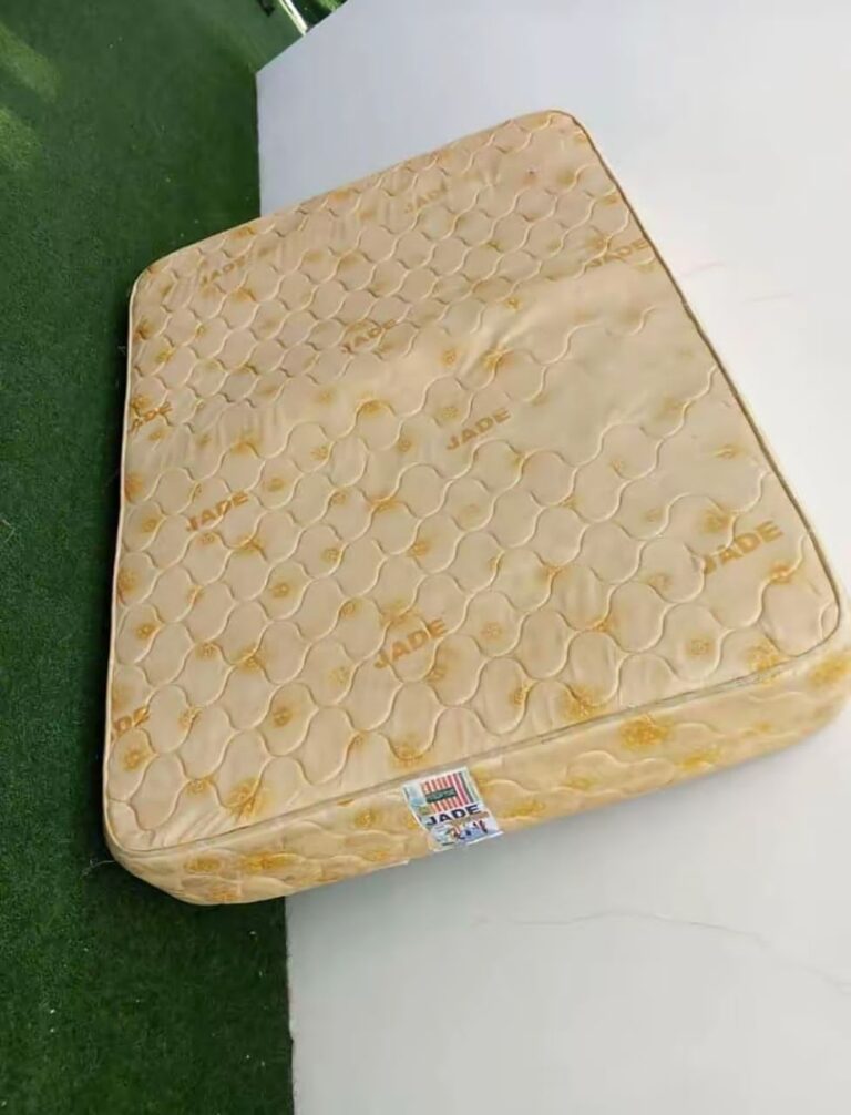 IMG 20260315 WA0123 768x1006