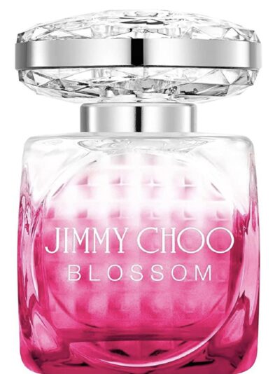 109012D6-4EA3-4C2C-8F92-1B0B2516449C