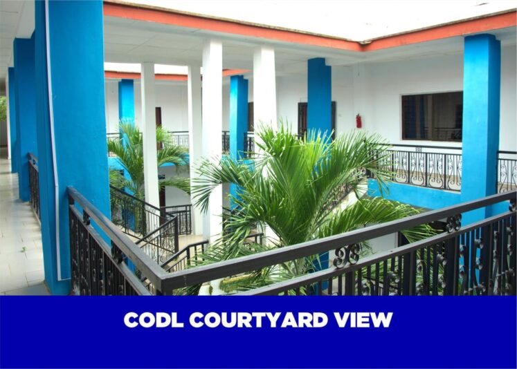 D6C6EBF4-106F-4C79-B0FC-5E79586E5A00