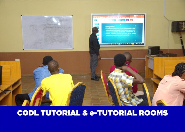 0E692E5E-72D6-47E4-9AB0-3BA9DC2DFFD4