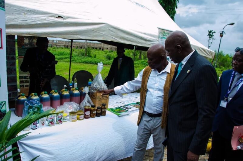 F11A5245-E6FB-4F8F-B6E1-790135005A0B